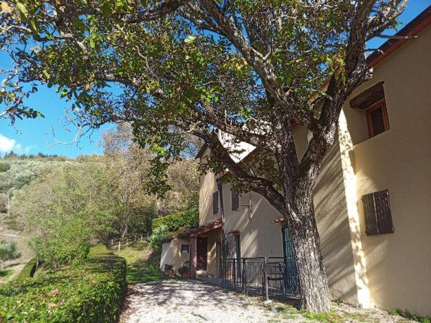 Agriturismo Il Giardino Pontassieve Extérieur photo