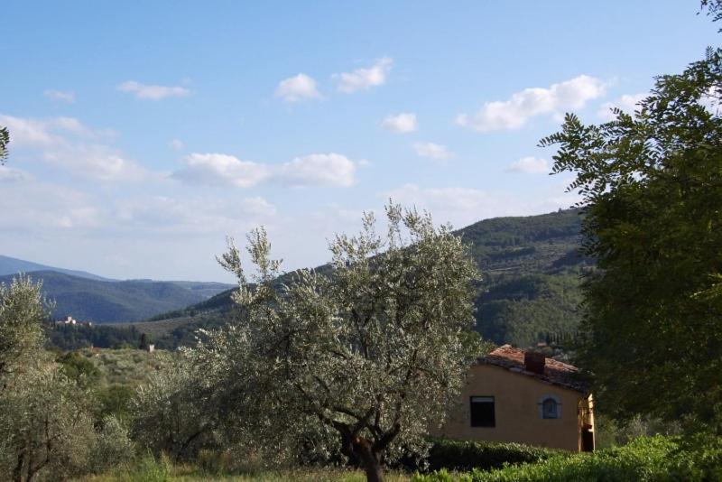 Agriturismo Il Giardino Pontassieve Extérieur photo
