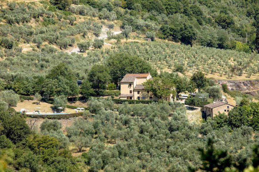 Agriturismo Il Giardino Pontassieve Extérieur photo